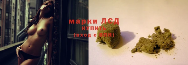крисы Баксан