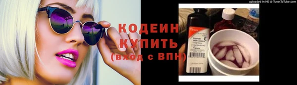 крисы Баксан