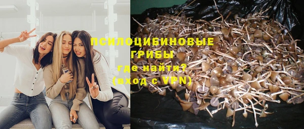 дмт Балабаново