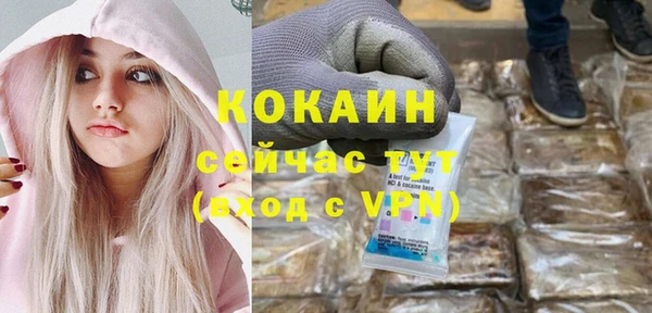крисы Баксан