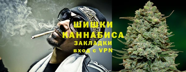 крисы Баксан