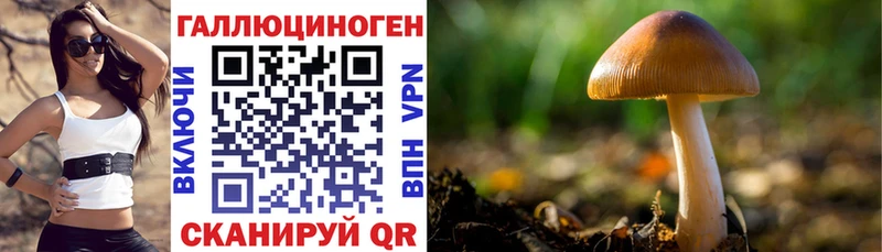 Псилоцибиновые грибы мухоморы  маркетплейс телеграм  Тайга  купить  сайты 